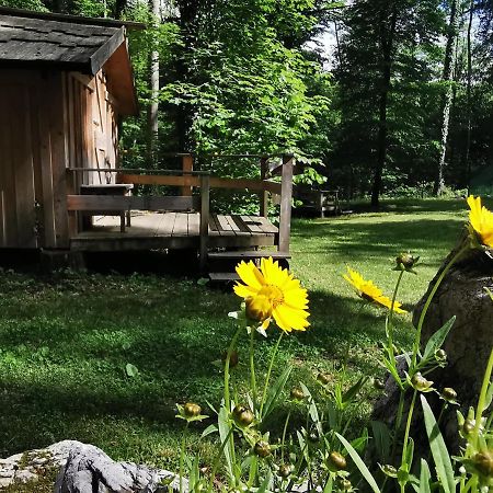 Kamp Alpe Kamniska Bistrica Hotel Stahovica Buitenkant foto