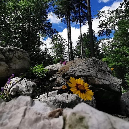 Kamp Alpe Kamniska Bistrica Hotel Stahovica Buitenkant foto