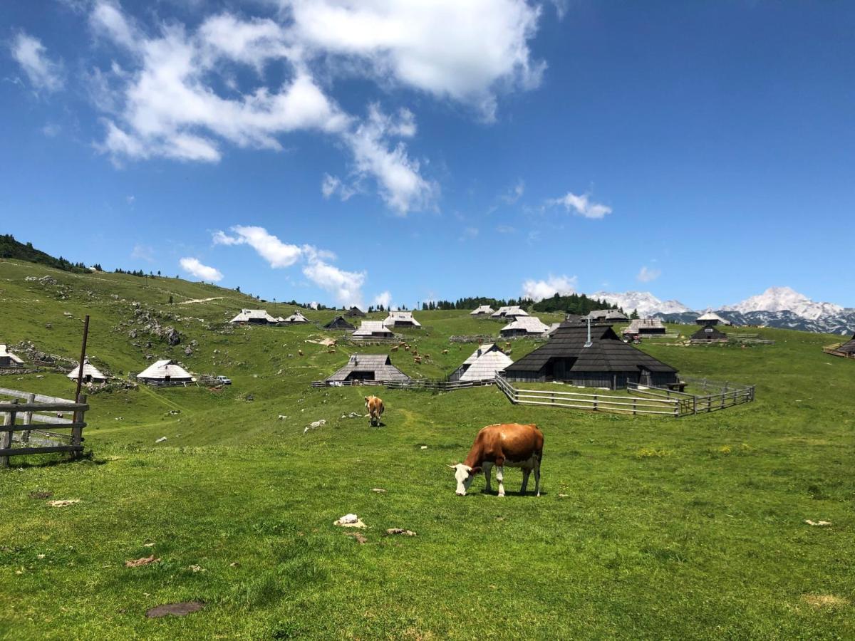 Kamp Alpe Kamniska Bistrica Hotel Stahovica Buitenkant foto