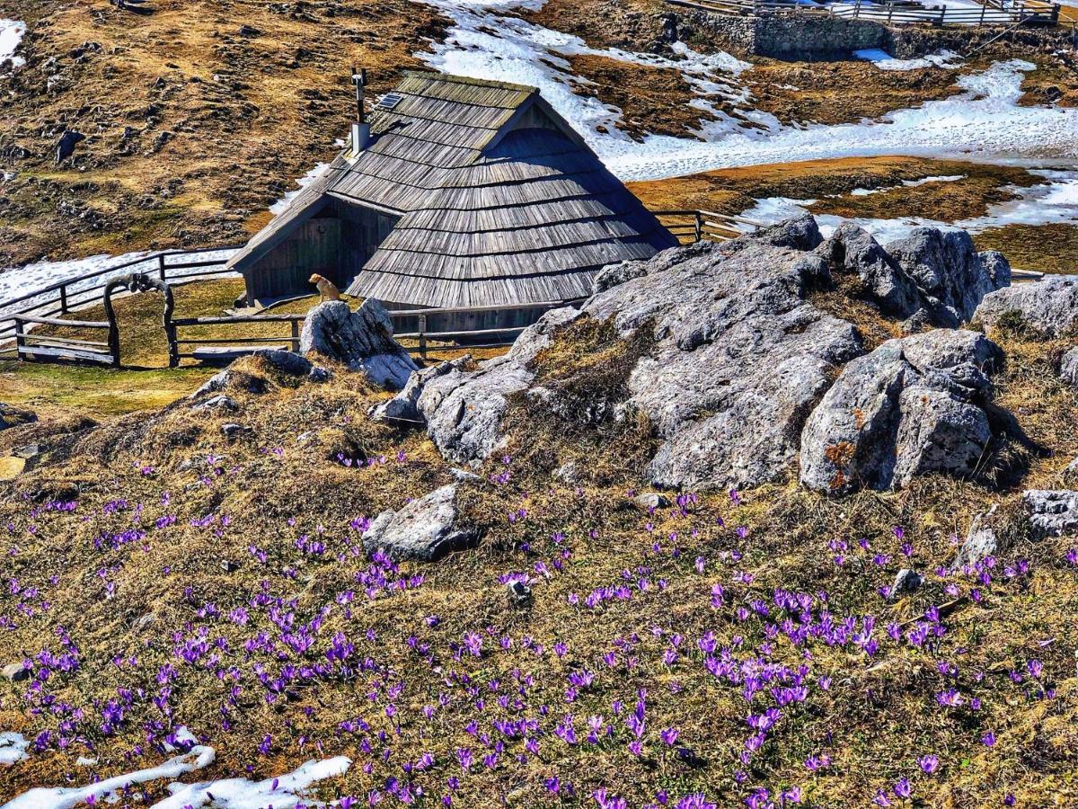 Kamp Alpe Kamniska Bistrica Hotel Stahovica Buitenkant foto