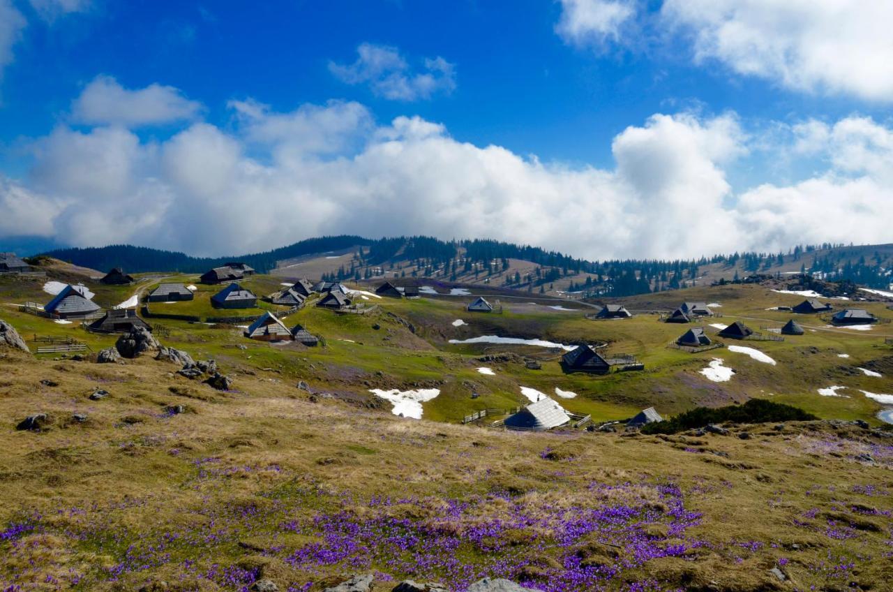 Kamp Alpe Kamniska Bistrica Hotel Stahovica Buitenkant foto