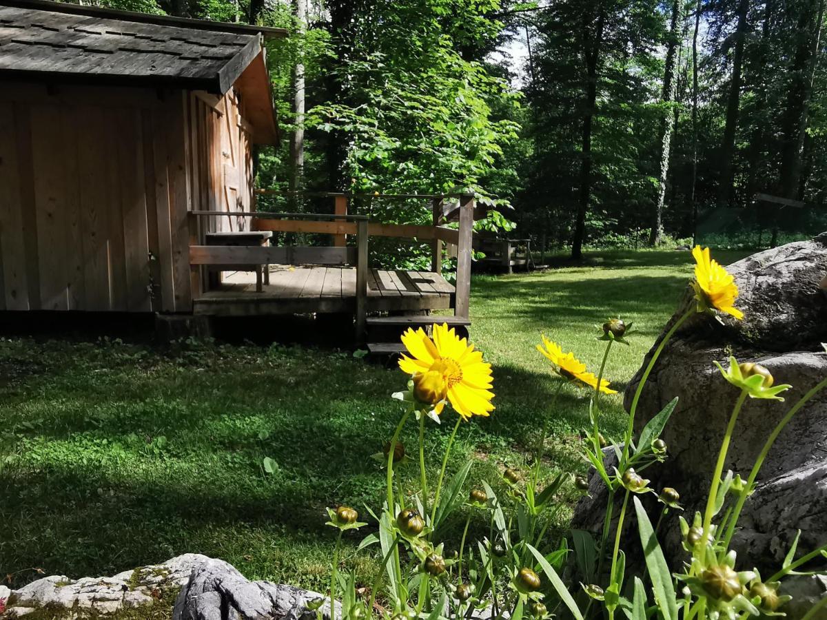 Kamp Alpe Kamniska Bistrica Hotel Stahovica Buitenkant foto