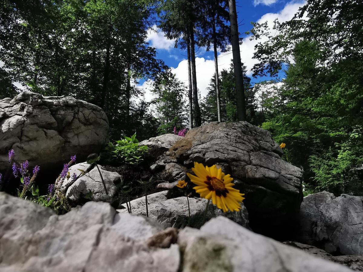 Kamp Alpe Kamniska Bistrica Hotel Stahovica Buitenkant foto