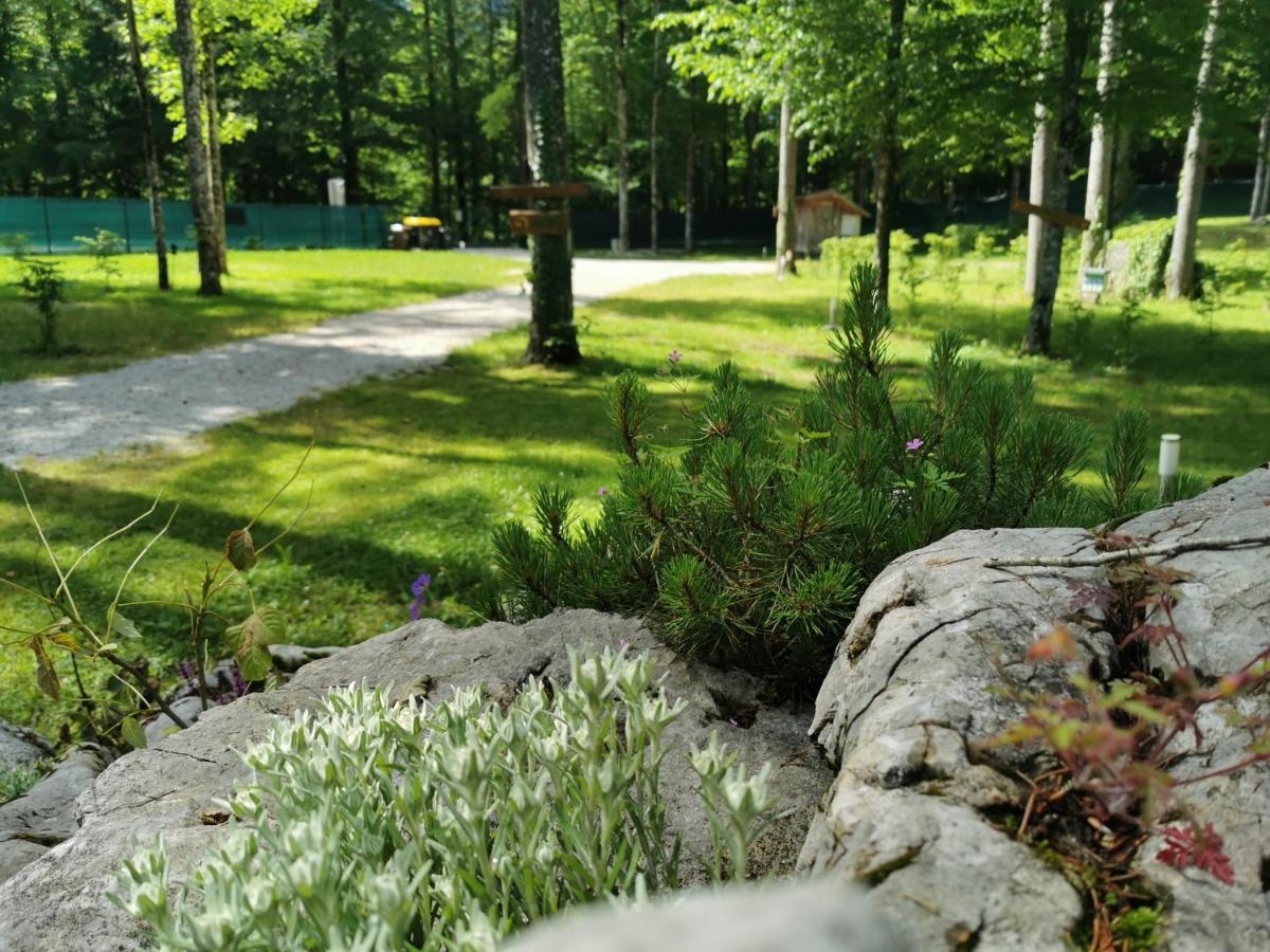 Kamp Alpe Kamniska Bistrica Hotel Stahovica Buitenkant foto